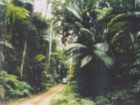 Conondale Great Walk - eAccommodation 0