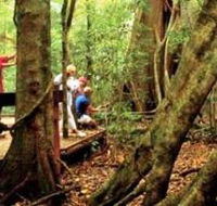 Mary Cairncross Scenic Reserve - eAccommodation