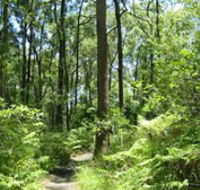 Mapleton Falls National Park - eAccommodation