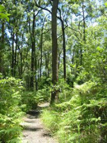 Mapleton Falls National Park - eAccommodation 0