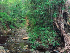 Mudlo National Park - eAccommodation 0