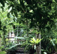 Flecker Botanic Gardens - eAccommodation
