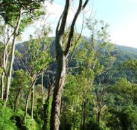 Smiths Track Barron Gorge National Park - eAccommodation