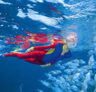 Pixie Pinnacle Dive Site - eAccommodation
