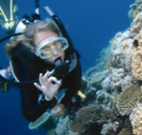 Moore Reef Dive Site - eAccommodation