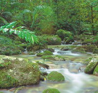 Mossman Gorge Daintree National Park - eAccommodation
