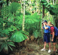 Mount Sorrow Ridge Trail Daintree National Park - eAccommodation