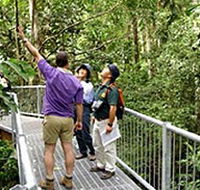Daintree Discovery Centre - eAccommodation