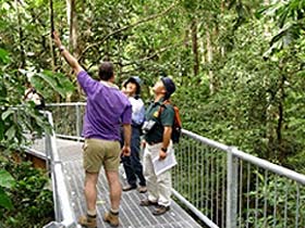 Daintree Discovery Centre - eAccommodation 0