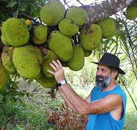 Cape Trib Exotic Fruit Farm - eAccommodation