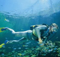 Tijou Reef - eAccommodation