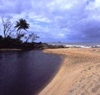 Russell River National Park - eAccommodation