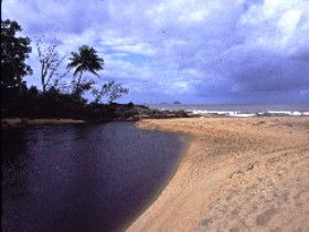 Russell River National Park - eAccommodation 0