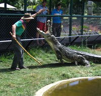 Snakes Downunder Reptile Park and Zoo - eAccommodation