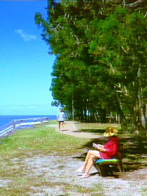 Woodgate QLD eAccommodation
