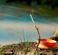 Charleville - Mangalore Warrego River Fishing Spot - eAccommodation