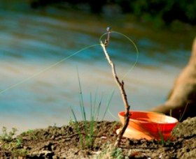 Charleville - Mangalore Warrego River Fishing Spot - eAccommodation 0