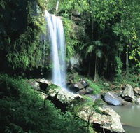 Curtis Falls Joalah Section - eAccommodation