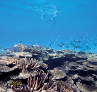 Australian Institute of Marine Science - eAccommodation