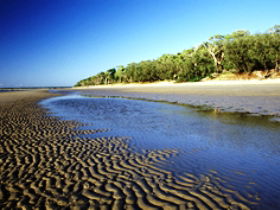 Burrum Coast National Park - eAccommodation 0
