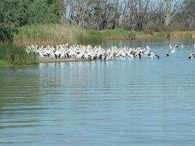 Lake Ross - eAccommodation 0