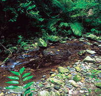 Wompoo Walk - eAccommodation