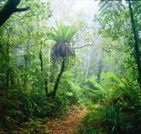 Lamington National Park Green Mountains Section - eAccommodation