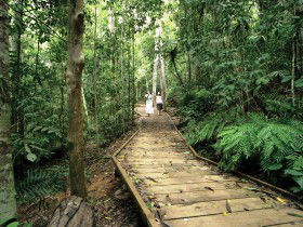 Malanda QLD eAccommodation