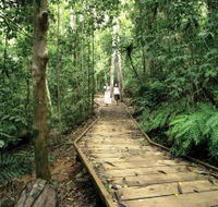 Lake Barrine Circuit Track Crater Lakes National Park - eAccommodation