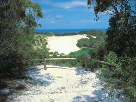 Lake Wabby Track - eAccommodation 0