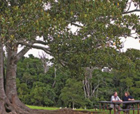 Palmtree QLD eAccommodation