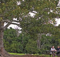 Ravensbourne National Park - eAccommodation