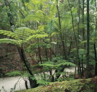 Fraser Island Great Walk - eAccommodation