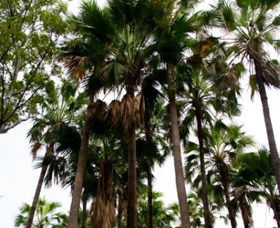 Palm Tree Creek - eAccommodation 0