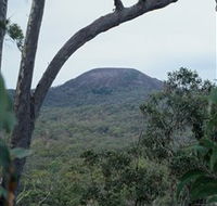 Mount Fox - eAccommodation