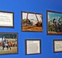 Town Hall Photographic Display - eAccommodation
