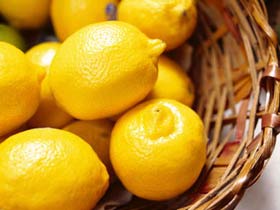 Cotters Markets - eAccommodation 0