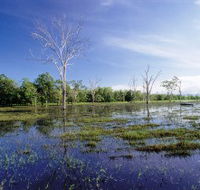 Tyto Wetlands - eAccommodation
