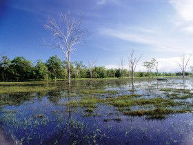 Tyto Wetlands - eAccommodation 0
