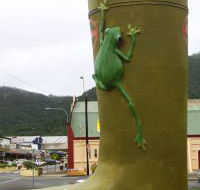 Golden Gumboot - eAccommodation