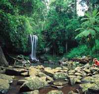 Tamborine National Park - eAccommodation
