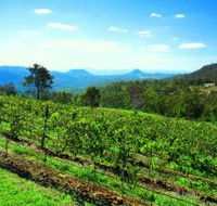 Preston Peak Wines - eAccommodation