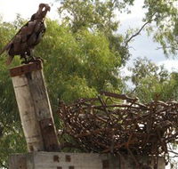 Blackall Sculpture Trail - eAccommodation