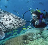 Pelorus Island - eAccommodation