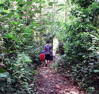 Malanda Falls Rainforest Walk Malanda Falls Conservation Park - eAccommodation