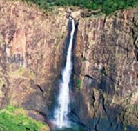 Buujan Quiinbiira Walk Wet Tropics Great Walk - eAccommodation