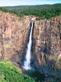 Gugigugi (Butterfly) Walk, Wet Tropics Great Walk - eAccommodation 0