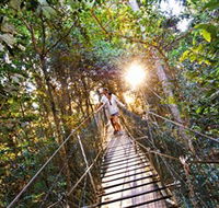 Tree Top Walkway - eAccommodation