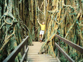 Yungaburra QLD eAccommodation
