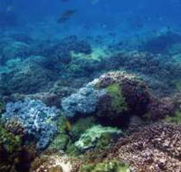 Hoffman's Rocks Dive Site - eAccommodation